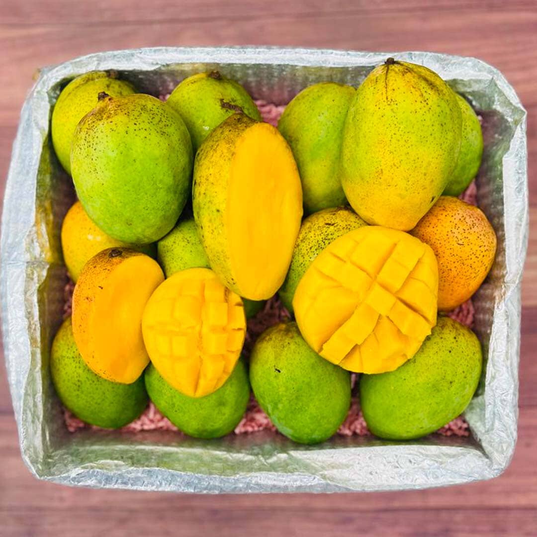 Coconut Cream Mango Box Fruits & Vegetables Tropical Fruit Box Large (16 Pounds) 