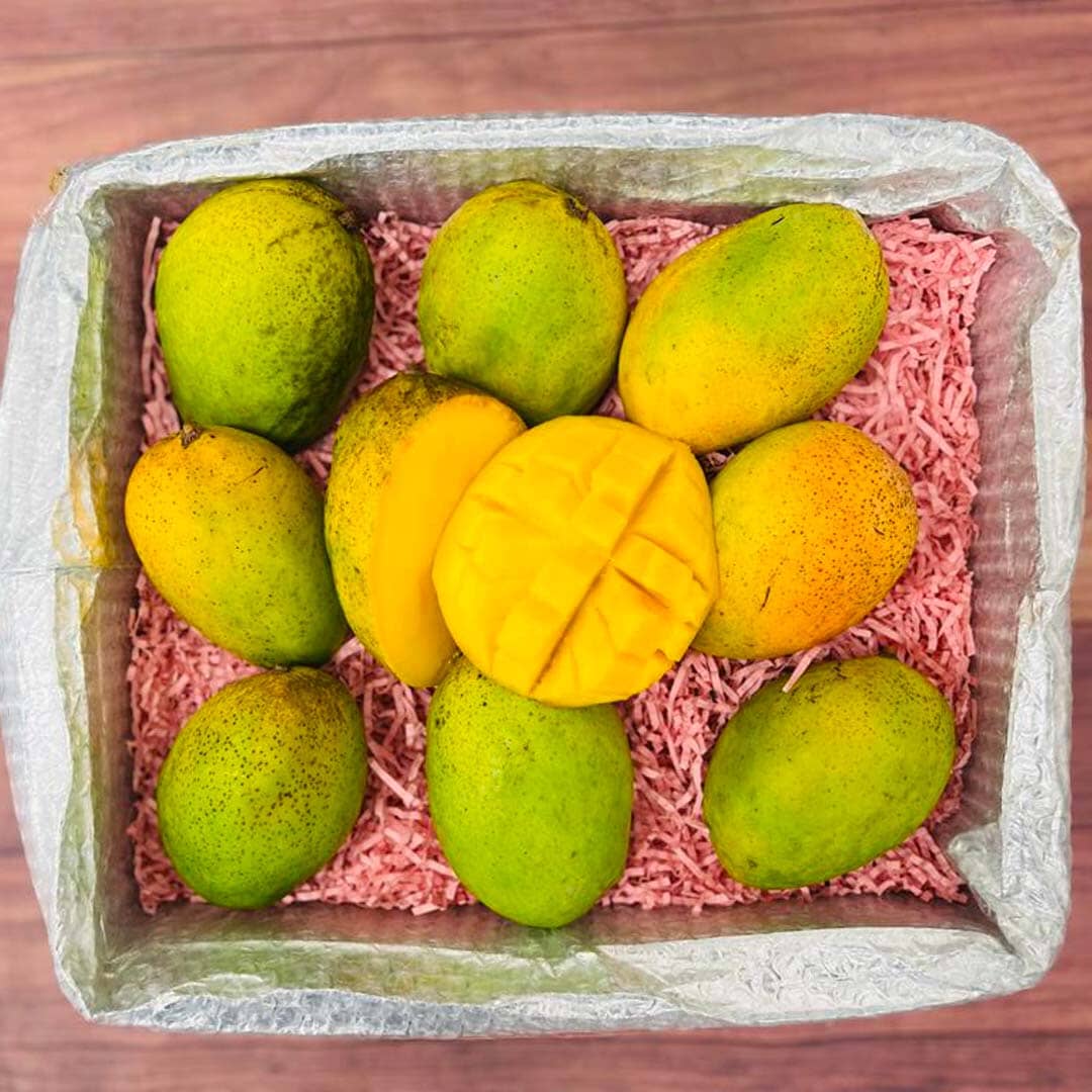 Coconut Cream Mango Box Fruits & Vegetables Tropical Fruit Box Medium (8 Pounds) 