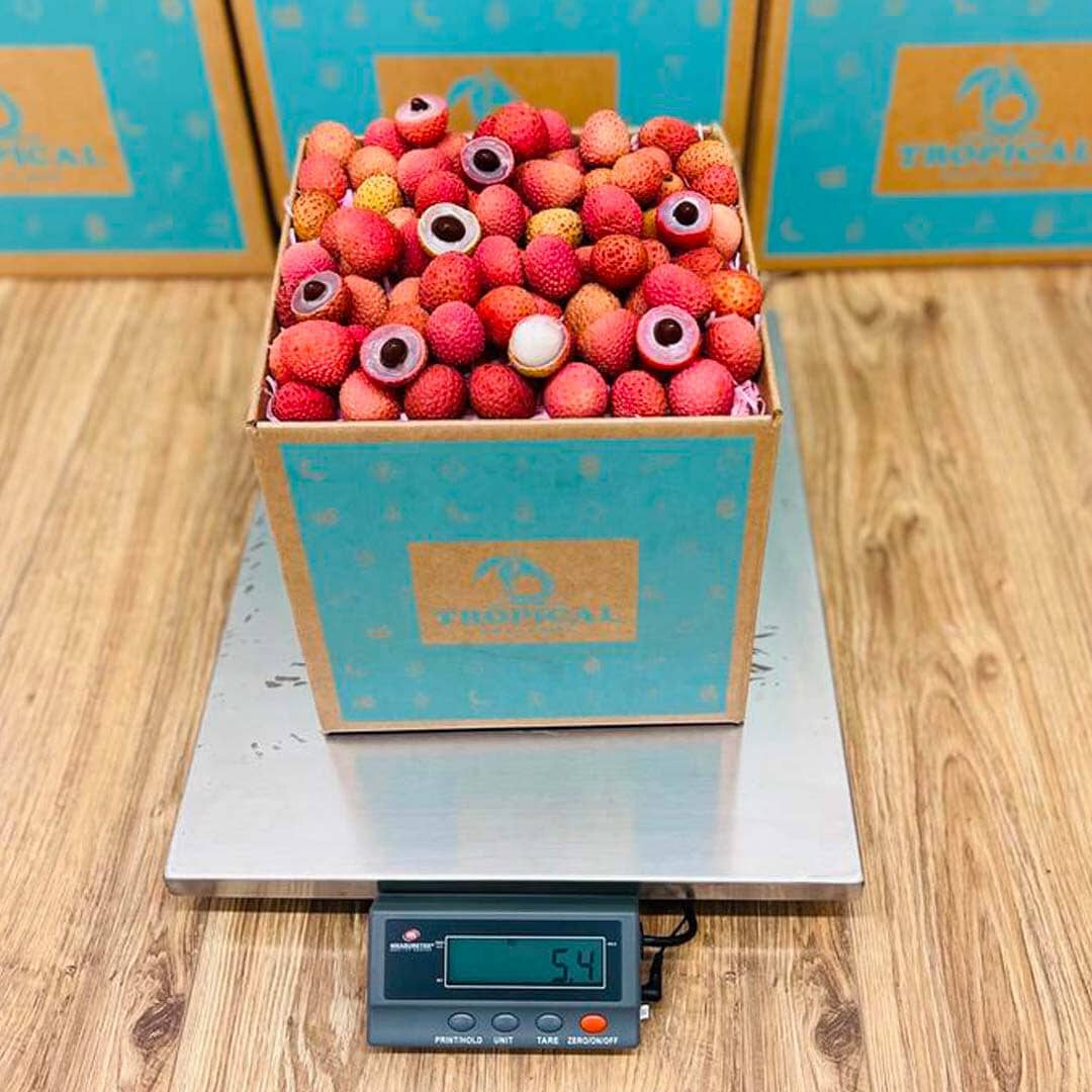 Fresh Lychee Fruit Box Specialty Box Tropical Fruit Box 