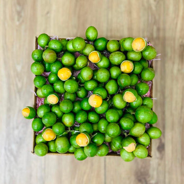 Spanish Limes | Mamoncillos | Quenepas | Guineps Box GoogleON Tropical Fruit Box Small (3 Pounds)