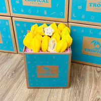 Thumbnail for Mountain Papaya Papayas Tropical Fruit Box 