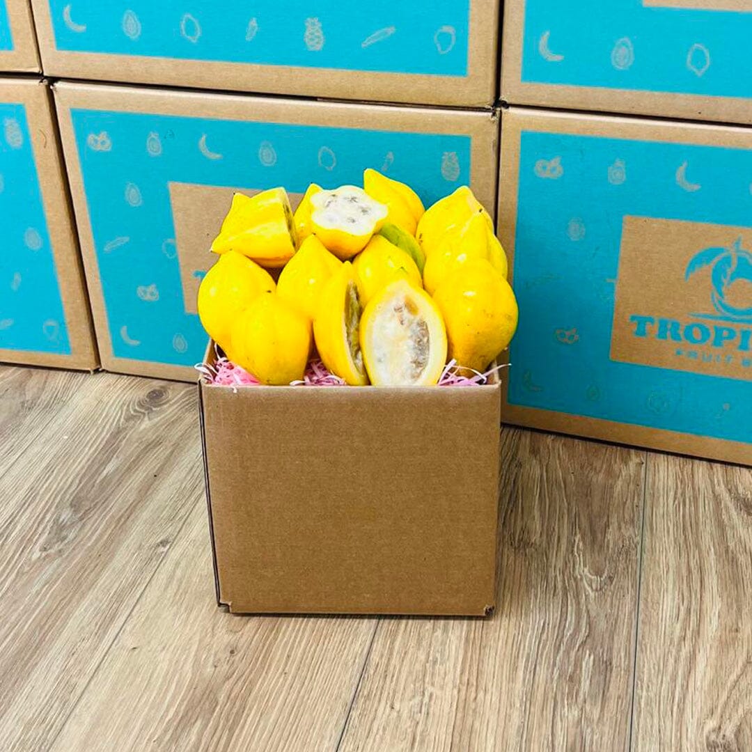 Mountain Papaya Papayas Tropical Fruit Box 