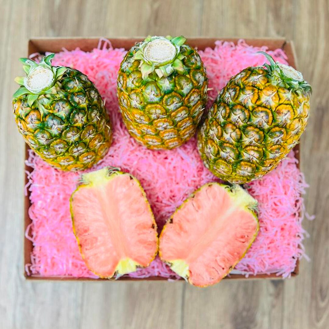PinkGlow® Pink Pineapple Quartet Box Specialty Box Tropical Fruit Box 