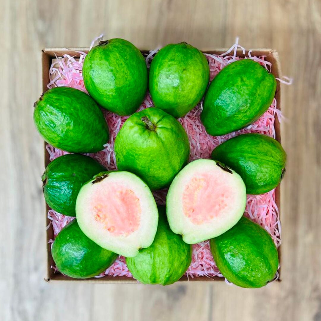 Pink Guava Box No Google Tropical Fruit Box 