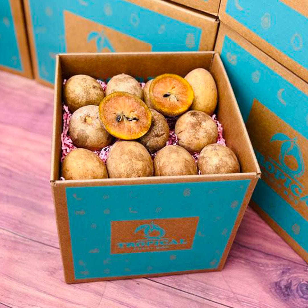 Fresh Sapodilla | Zapote | Chico Box Specialty Box Tropical Fruit Box Regular (5 Pounds) 