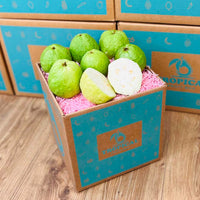 Thumbnail for Fresh Tropical White Guava Box (Thai Guava) Produce Box Tropical Fruit Box 5 lbs