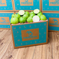 Thumbnail for Fresh Tropical White Guava Box (Thai Guava) Produce Box Tropical Fruit Box 8 lbs