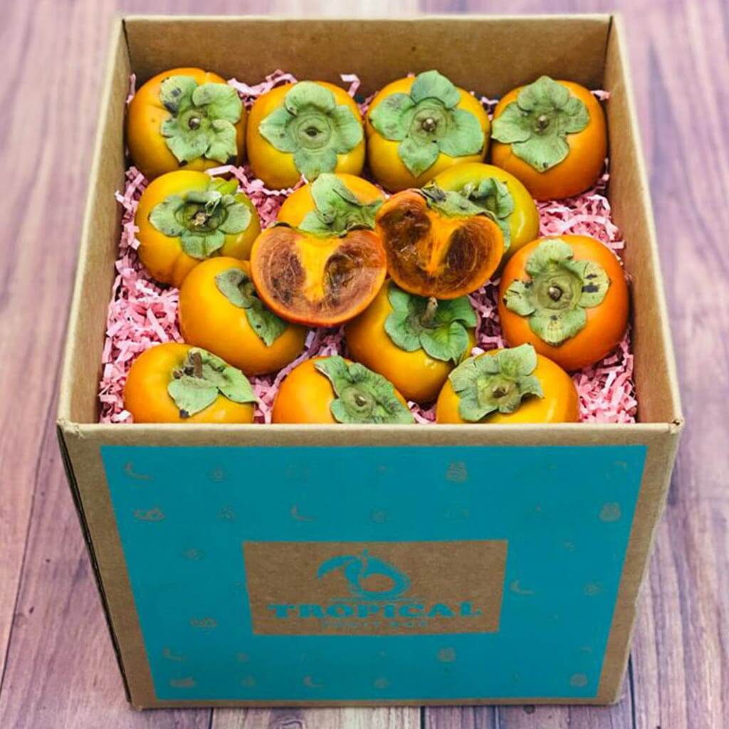 Maru Chocolate Persimmon Box 
