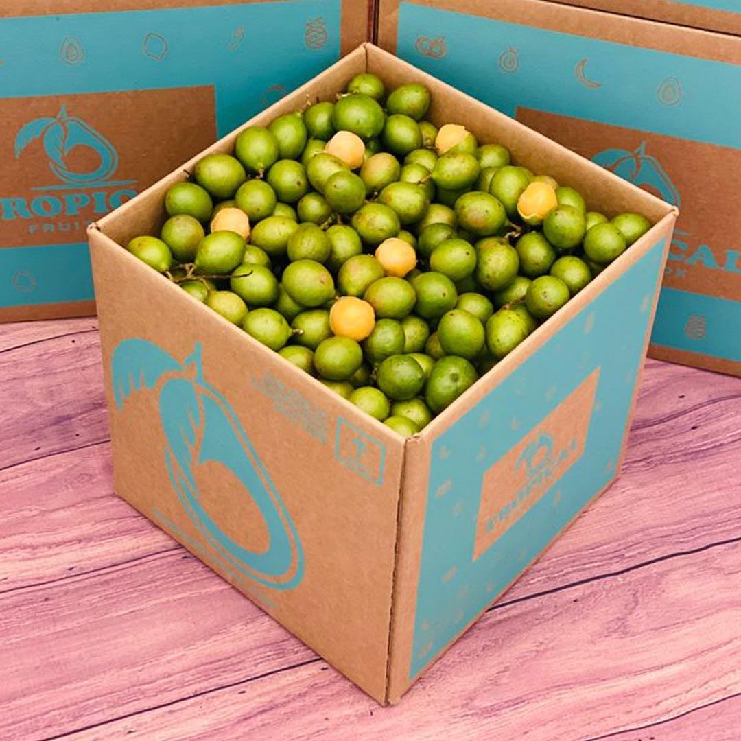 Spanish Limes | Mamoncillos | Guineps | Quenepas BoxRegular (5 Pounds) 