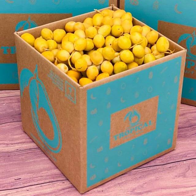 Yellow Barhi Dates BoxSmall (5 Pounds) 