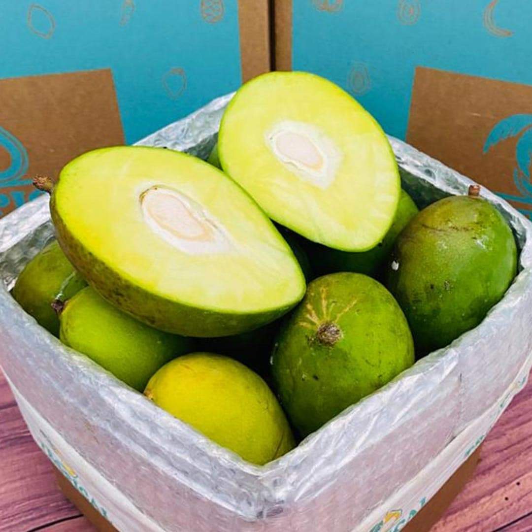 Green Mango Underripe Mango Box 5 Pounds
