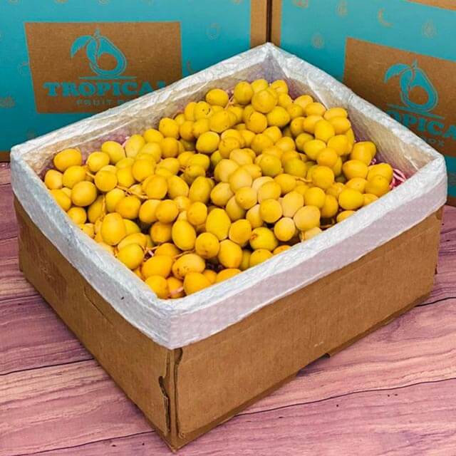 Yellow Barhi Dates BoxMedium (8 Pounds) 