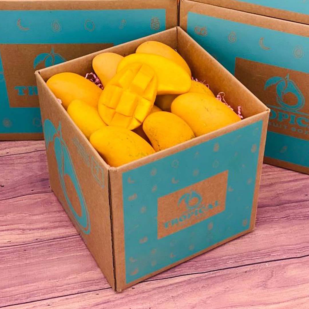 Ataulfo Mango Box No Google Tropical Fruit Box 