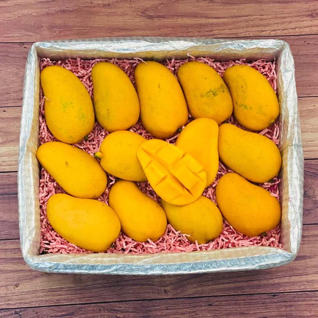 Ataulfo Mango Box No Google Tropical Fruit Box Regular (8 Pounds) 