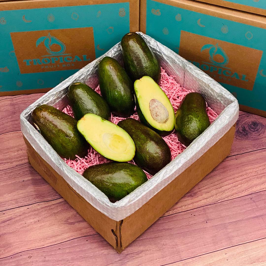 Benny Avocado Box Avocados Tropical Fruit Box Medium (10 Pounds) 