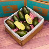 Thumbnail for Benny Avocado Box Avocados Tropical Fruit Box Medium (10 Pounds) 