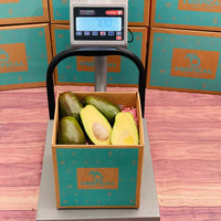 Thumbnail for Benny Avocado Box Avocados Tropical Fruit Box 