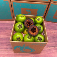 Thumbnail for Black Sapote Box Specialty Box Tropical Fruit Box Regular 5 Pound Box 