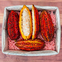 Thumbnail for Cacao Pod Box Specialty Box Tropical Fruit Box Regular (8 lbs) 