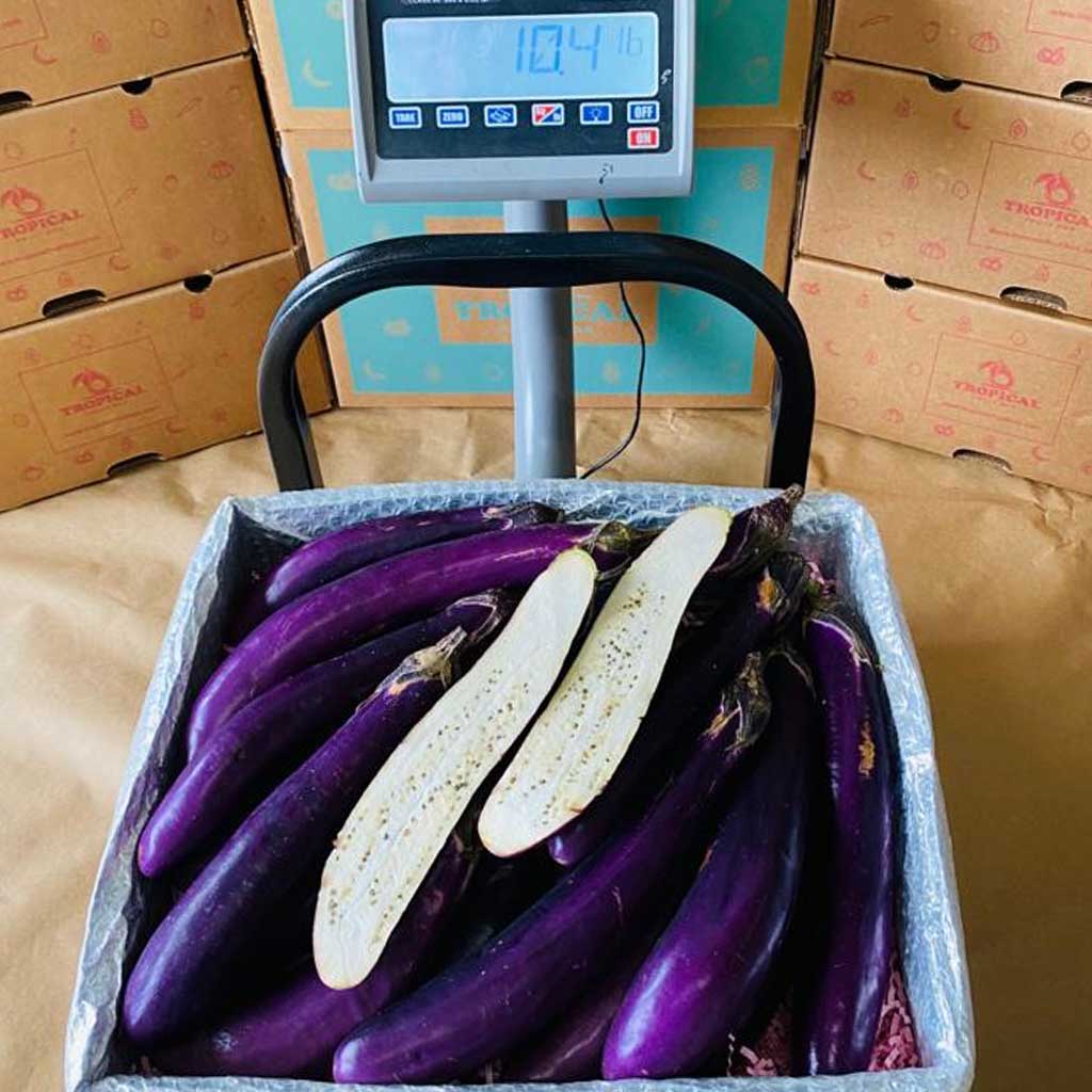 Chinese EggplantRegular Box (8 Pounds) 