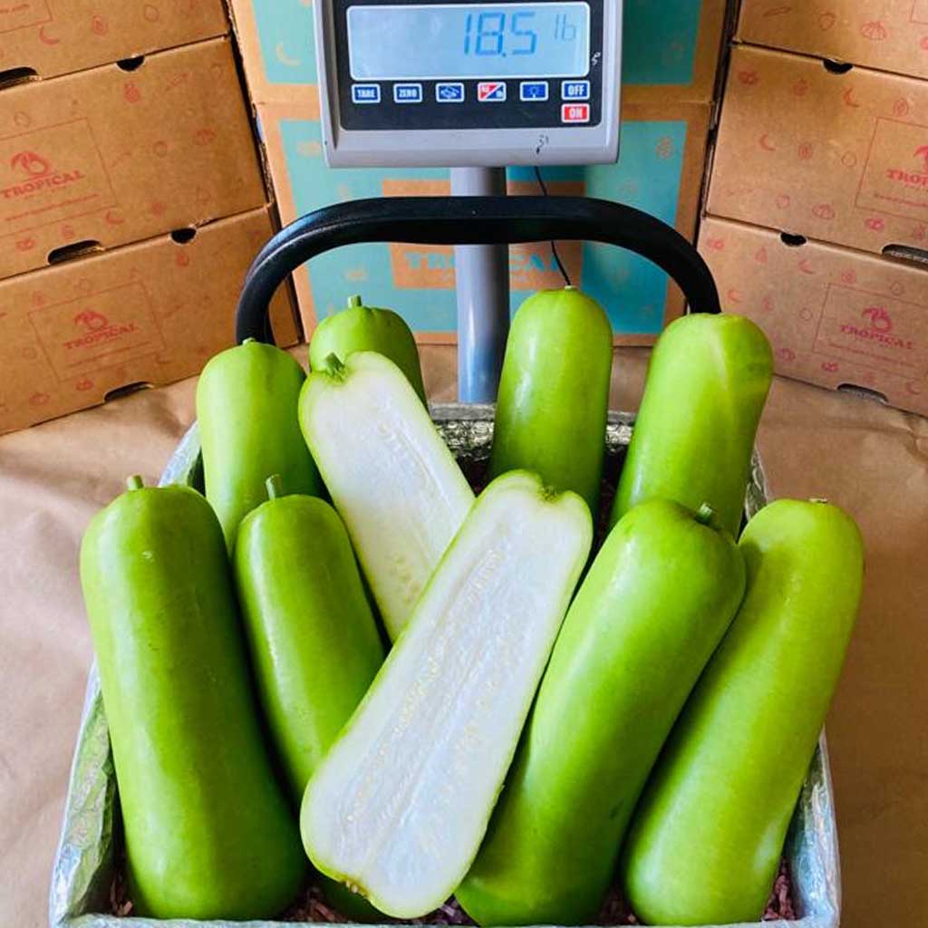 Chinese long squash 16lb scale