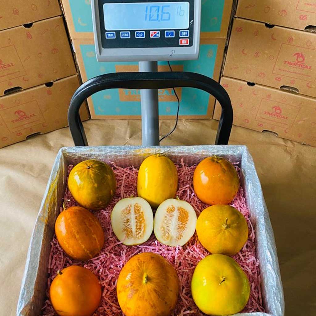 Dosakai Melon BoxRegular Box (8 Pounds) 