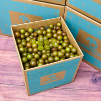 Thumbnail for Green Muscadine Grapes Box Tropical Fruit Box 