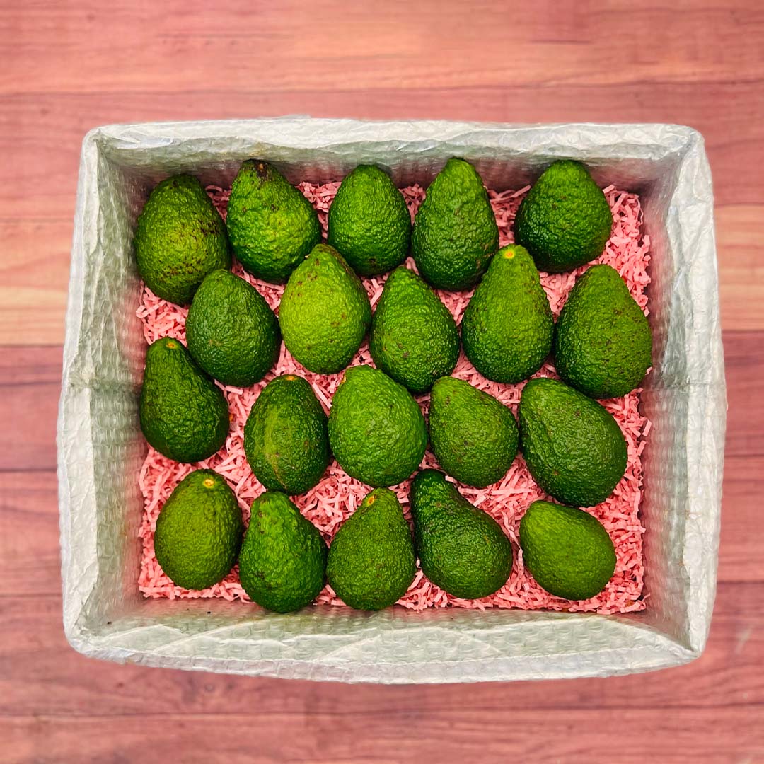 Hass Avocado Box Produce Box Tropical Fruit Box Large (8 Pounds) 