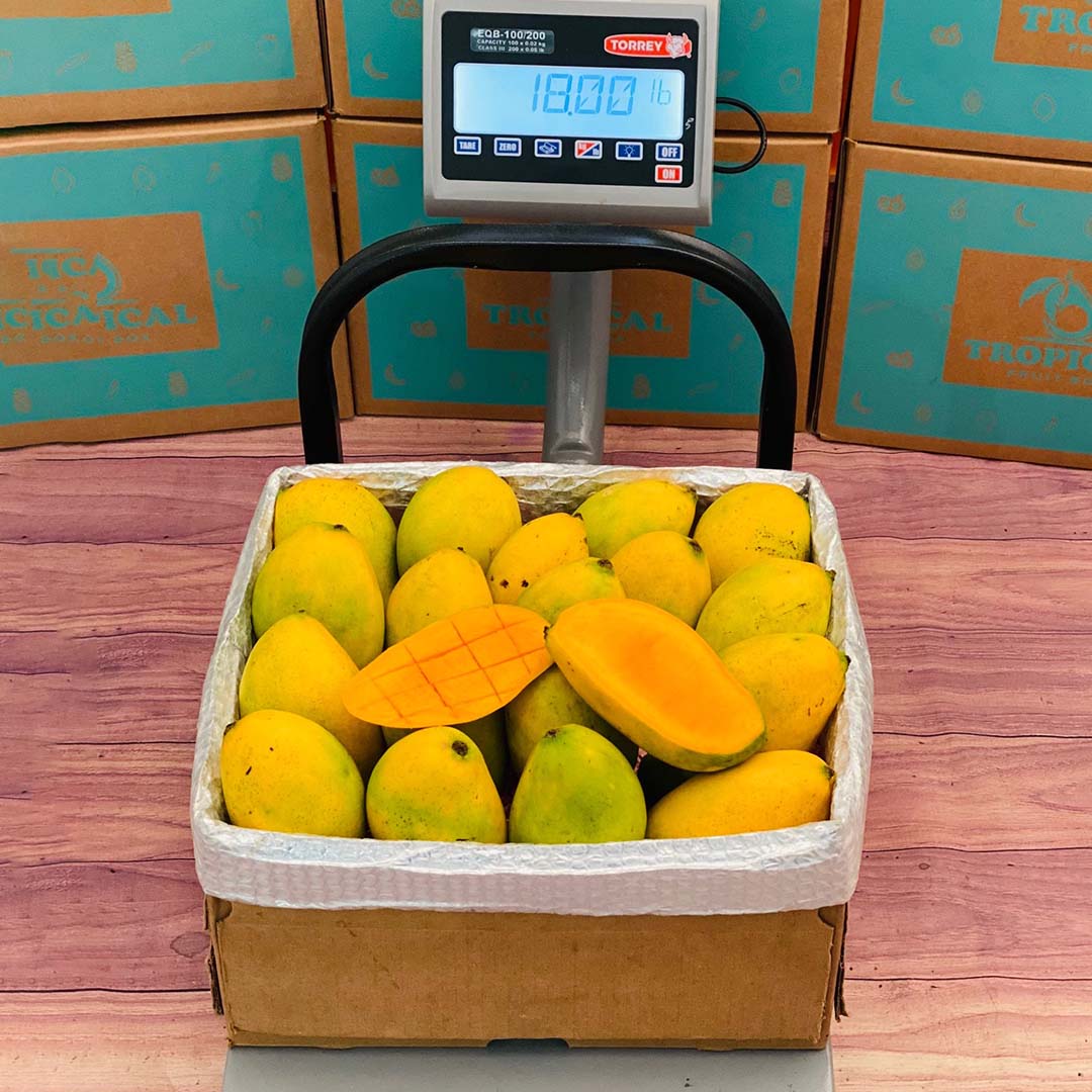 Haitian Mango Box 