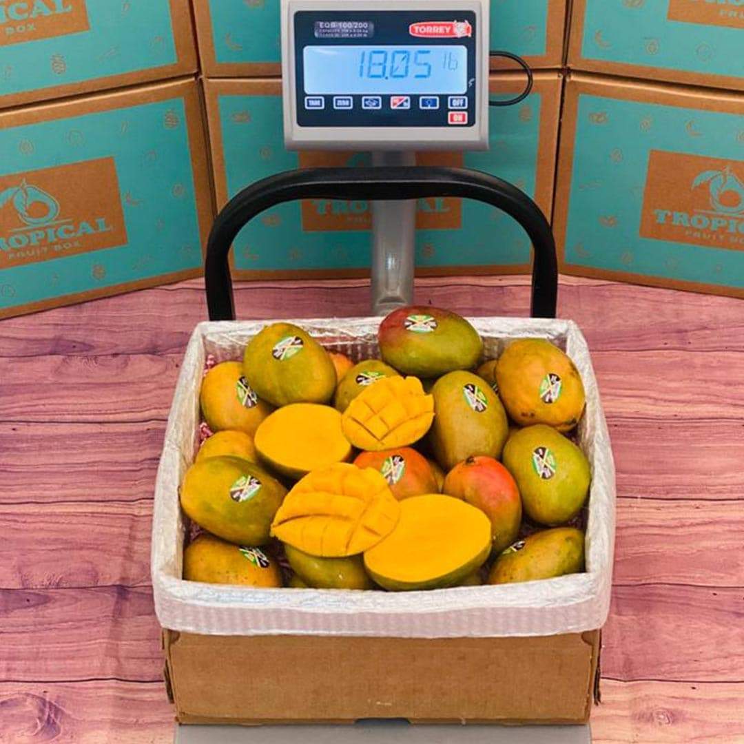 16 pound box of jamaican mangoes