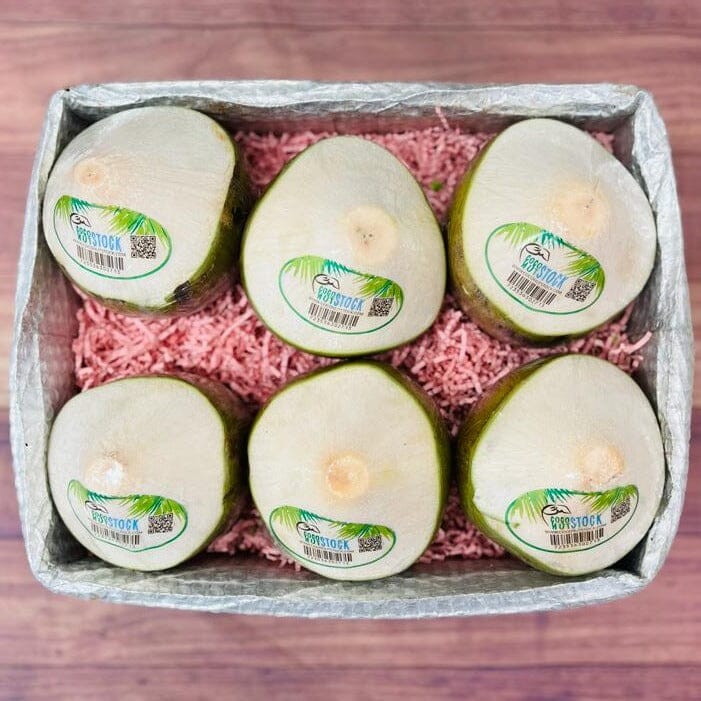 Young Drinking Coconuts Coconuts Tropical Fruit Box 