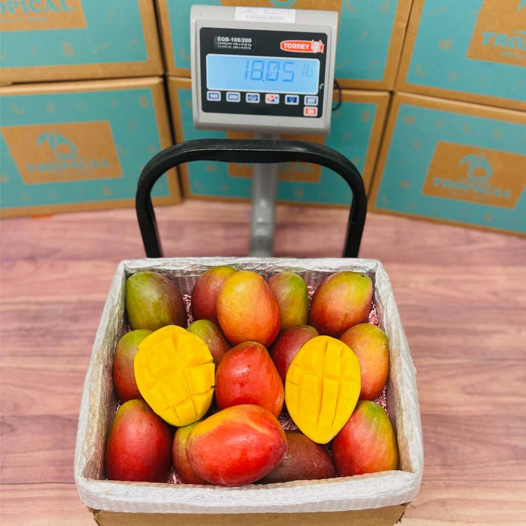 The Palmer Mango Box Tropical Fruit Box 