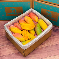 Thumbnail for Rainbow Mango Box Mangoes Tropical Fruit Box Large (8 Pounds) 