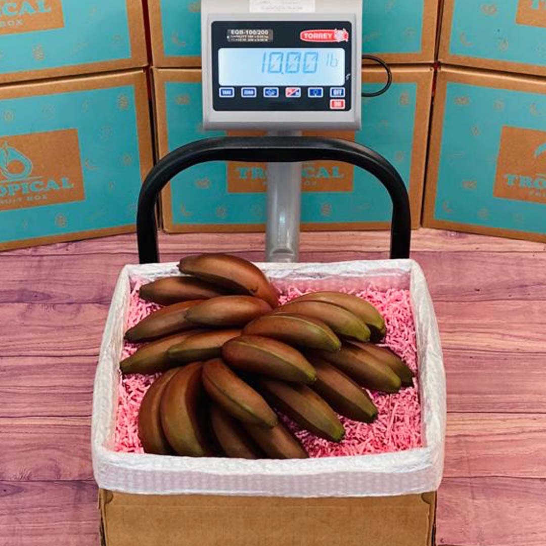 Red Banana Box Produce Box Tropical Fruit Box 