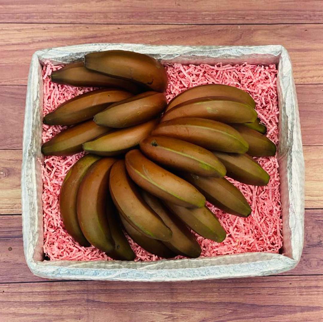 Red Banana Box Produce Box Tropical Fruit Box Regular (8 Pounds) 