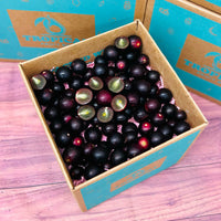 Thumbnail for Red Muscadine Grapes Box Grapes Tropical Fruit Box 