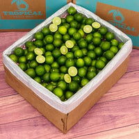 Thumbnail for Key Lime BoxX-Large (10 Pounds) 