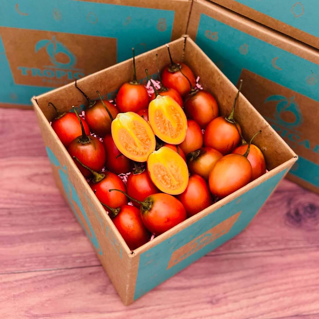 Tamarillo - Tree Tomato Box Specialty Box Tropical Fruit Box Medium (5 Pounds) 