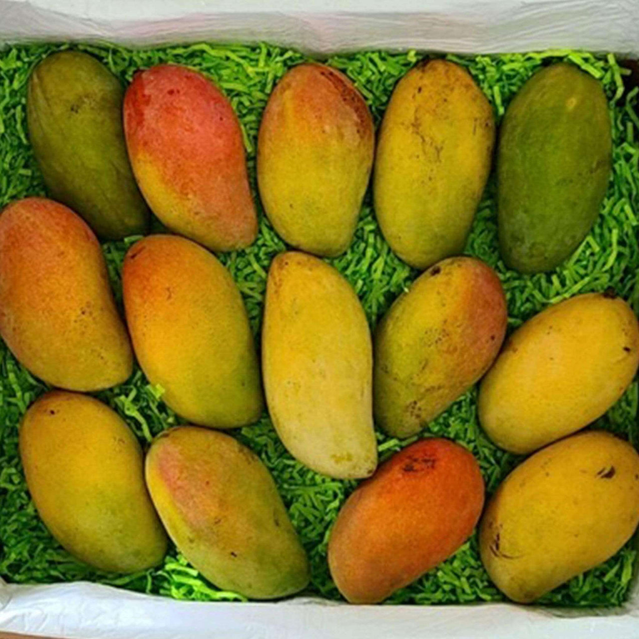 Champagne Mango Box Tropical Fruit Box Produce Box 00879502007554