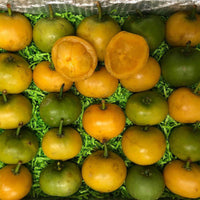 Thumbnail for Gamboge | Yellow Mangosteen Fruit Box Tropical Fruit Box Large (8 Pounds) 00879502003396
