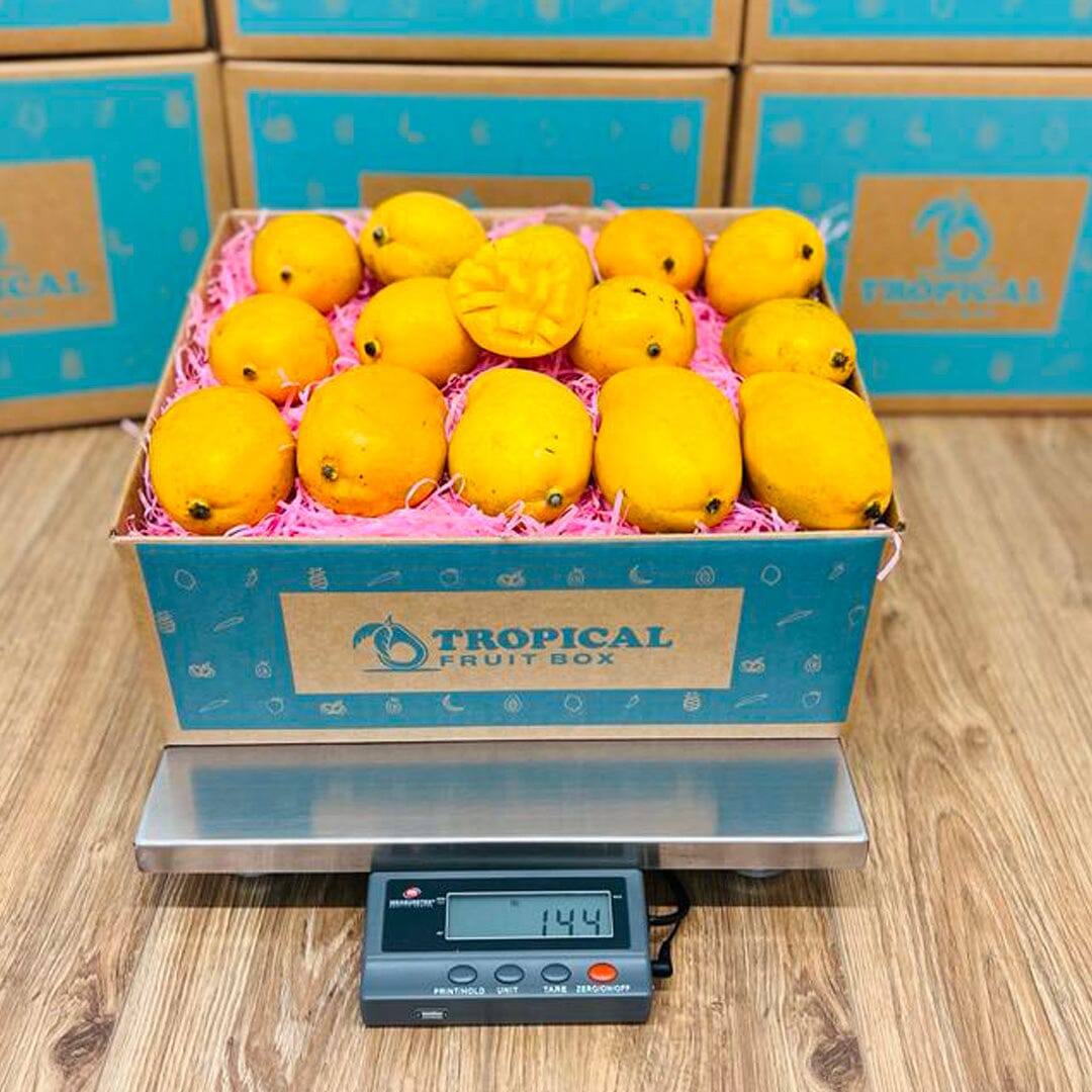 Ataulfo Mango Ripe Chart Ataulfo Mango Box _ How to Buy and Store Ataulfo Mangoes – VQQZ