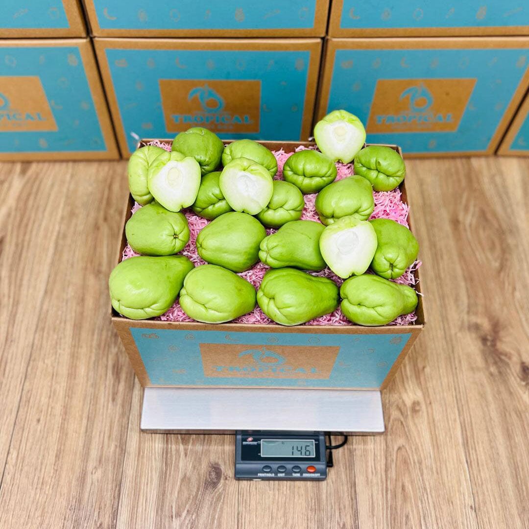 Fresh Chayote Squash Box Squashes & Gourds Tropical Fruit Box 