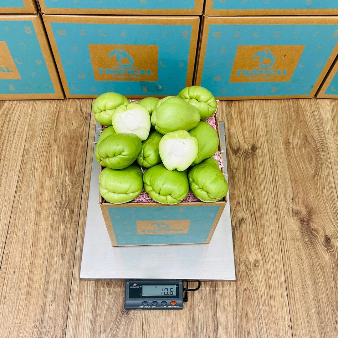 Fresh Chayote Squash Box Squashes & Gourds Tropical Fruit Box 