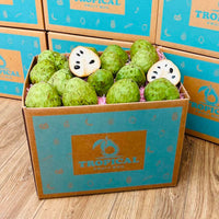 Thumbnail for Cherimoya Fruit (Custard Apple) Box Specialty Box Tropical Fruit Box 