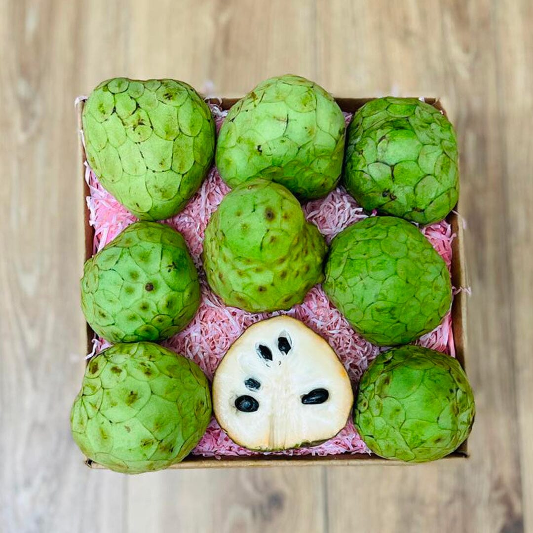 Cherimoya Fruit (Custard Apple) Box Specialty Box Tropical Fruit Box Small (5 Pounds) 