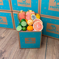 Thumbnail for Tropical Citrus Box Fruit Mixes Tropical Fruit Box 