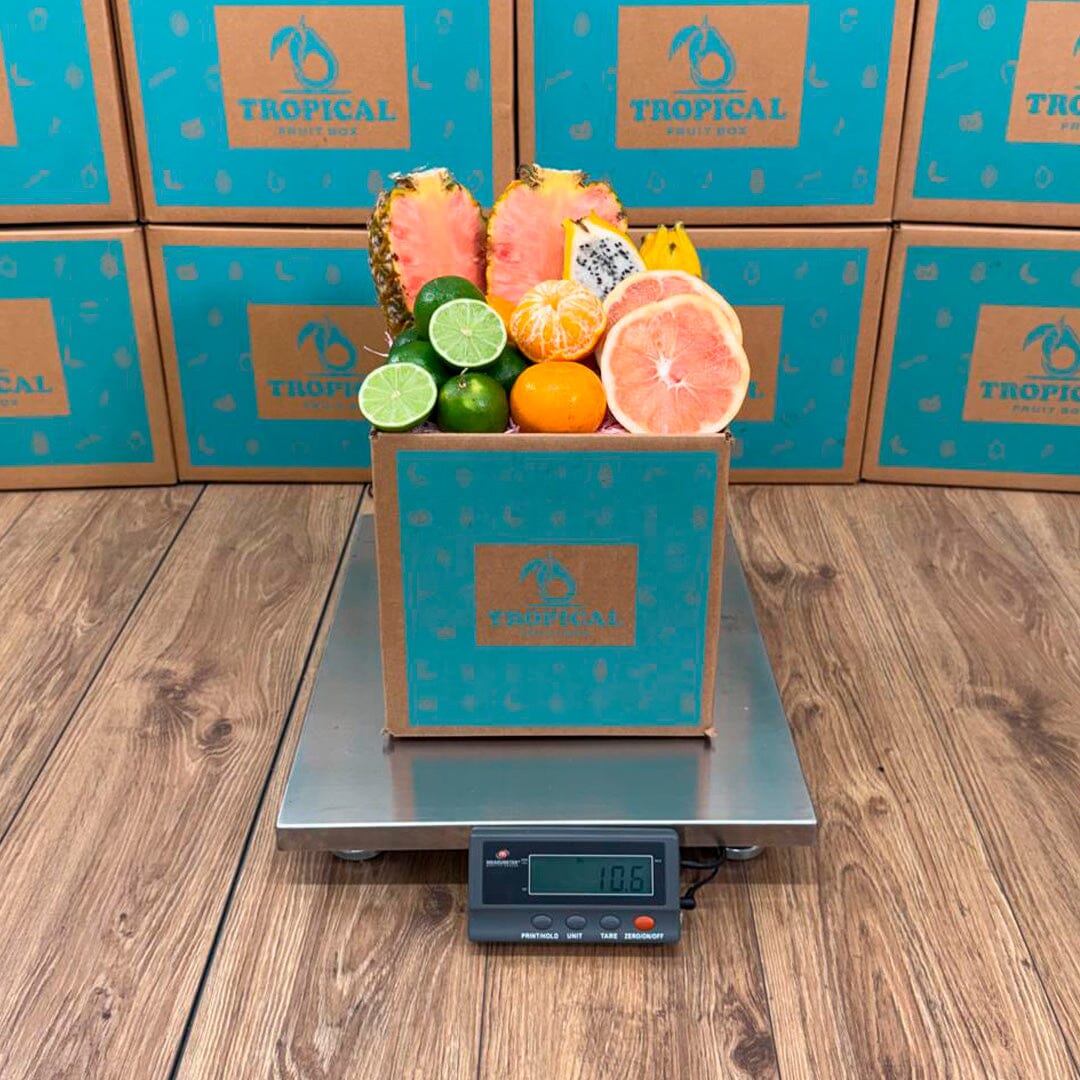 Tropical Citrus Box Fruit Mixes Tropical Fruit Box 