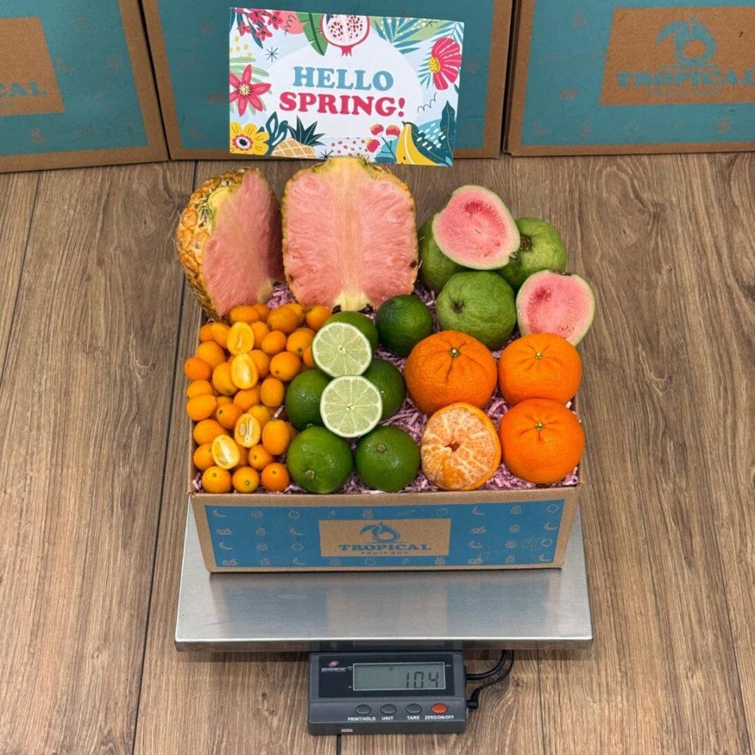 Tropical Citrus Box Fruit Mixes Tropical Fruit Box 