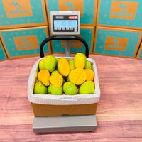 Thumbnail for Coconut Cream Mango Box Fruits & Vegetables Tropical Fruit Box 