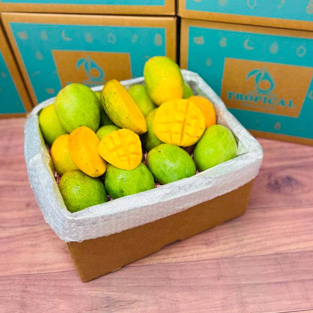 Coconut Cream Mango Box Fruits & Vegetables Tropical Fruit Box 